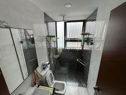 The Silver Spurz (D19), Semi-Detached #471229291